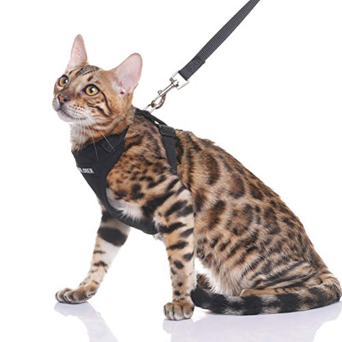 EXPAWLORER Escape Proof Cat Harness with Leash - Best Cat Safety Harness Mesh Adjustable Vest Harness for Cats and Small Dogs Outdoor Walking