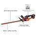 BLACK+DECKER 40V MAX Cordless Hedge Trimmer, 24-Inch Brush Trimmer with Battery and Charger (LHT341FF)