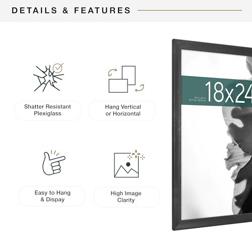 MCS Classic Studio Gallery Frame, Black Woodgrain, 18 x 24 in, Single, Classic Black