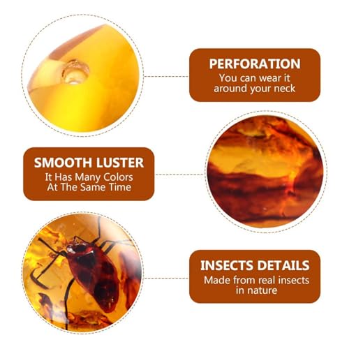 Image of 6PCS Amber Fossil Insect, Amber Fossils with Insects Samples Stones Crystal Samples for Home Decorations Collections Oval Pendants Pendant Science Educational (Amber Pendant) (B stely)