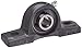 Hub City PB250DRWX5/8 Pillow Block Mounted Bearing, Normal Duty, Low Shaft Height, Relube, Setscrew Locking Collar, Wide Inner Race, Ductile Housing, 5/8" Bore, 1.41" Length Through Bore, 1.062" Base To Height