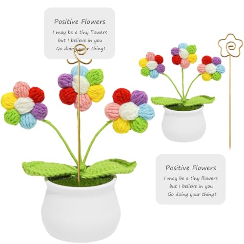 liuer Flores Positiva,Regalos para Colegas,Divertida Regalos de Despedida para Colegas,Regalo Despedida Compañero Trabajo Regalos Colegas Amigos Personalizado (A)