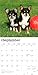 Chihuahuas | 2026 12 x 24 Inch (Hanging) Monthly Square Wall Calendar | Plastic-Free | BrownTrout | Animals Small Dog Breeds Puppies