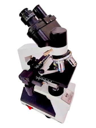 MSW- Research Medical Binocular Microscope- SM 66