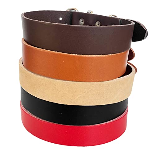 Monodog Premium Leather Dog Collar - Durable And Fashionable Straight Collar For Comfortable Control And Training (Small (9 3/4-12 1/5" (24-31Cm)), Blackd) #TOP5