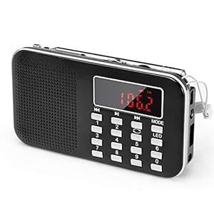 PRUNUS L-218AM draagbare mini radio AM (MW)/FM FM/Micro TF Card/USB/MP3, 1200mAh accu. Zaken en zendstations [ALLEEN automatisch].