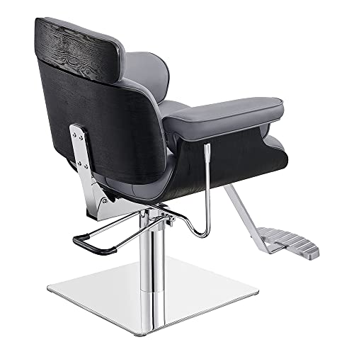 Dir All Purpose Hydraulic Reclining Styling Chair Salon Stylist Chair - Planet In Grey #TOP5