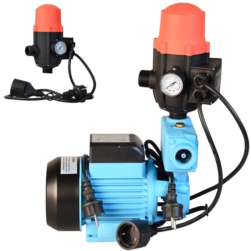 Wasserpumpe WZP 750 mit Elektronische Druckschalter BRIO - Pumpensteuerung - Gartenpumpe (750W 3000l/h Förderhöhe 55m) - Gußeisen - Einschaltdruck einstellbar - Hauswasserautomat Trockenlaufschutz