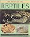 The reign of the reptiles