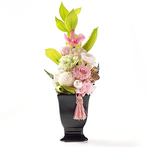 Ԃ܂肩   蕨 vU[uht[ 䂤     dp (sN)