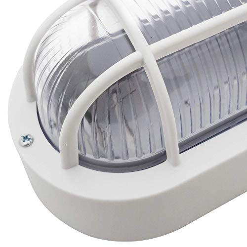 Arandela Luminária Tartaruga Oval 20cm Branco