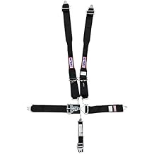 RJS Racing Equipment 1142201 Harness System