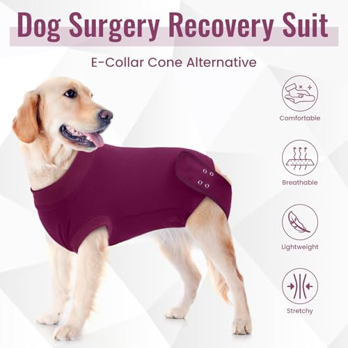 Image of IDOMIK Dog Recovery Suit for Neuter Spay,Anti-Licking Dog Surgical Bodysuit | Soft Dog Recovery Onesie Protects Abdominal Wounds, Easy to Wear, Easy Potty Breaks, E-Collar Cone Alternative,Purple,S