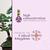 Baby Bio Bonsai Food, 175ml - Liquid Concentrate Fertiliser - Essential Nutrients for Healthier Stronger Plants - Enhances Vitality and Resilience for Well-formed Trees - Makes up to 70L (Pack of 2) - Image 4