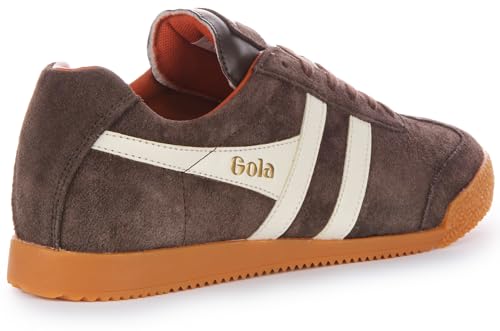 Image of Gola Harrier