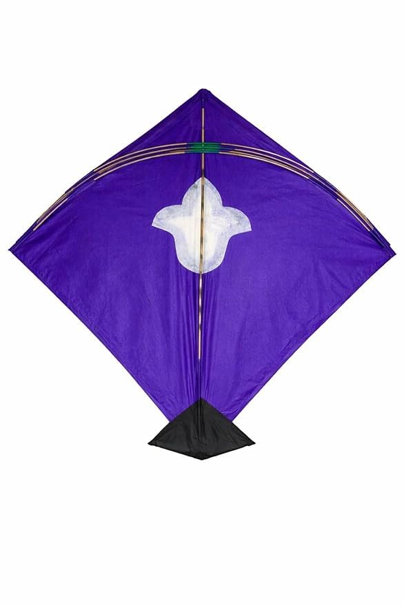 RUHANI Paper Kite Pack of 10 - Image 1
