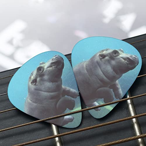 Médiators de guitare 12-Pack Baby Hippos Guitar Picks pour guitare électrique Guitare acoustique Diverses guitares - Les Beatles, Paul McCartney, John Lennon, RIngo Starr, George Harrison Médiators de guitare 12-Pack Baby Hippos Guitar Picks pour guitare électrique Guitare acoustique Diverses guitares – Image 7