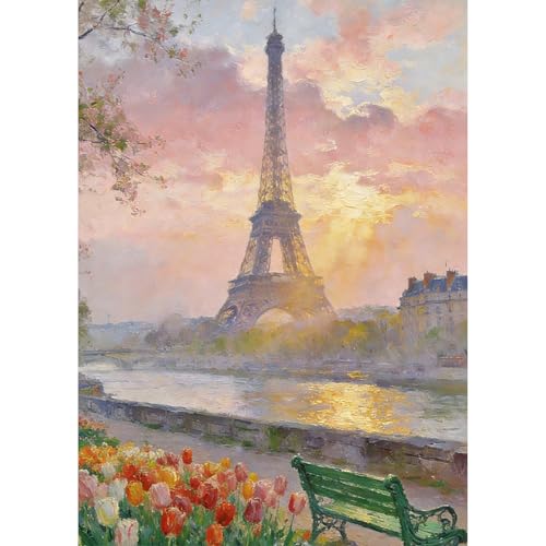 TDFERAN 5D Diamond Painting Paris Tour Eiffel 30x40cm Peinture par Numero Adulte Paysage Jardin Rangée de Chaises Tableau Perle Diamant Fleur Tour Eiffel en...