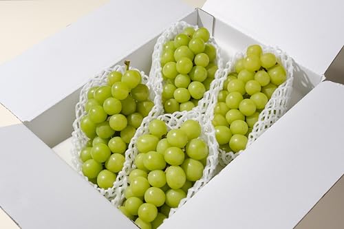 甲州市産 シャインマスカット 4〜5房入(約2.2kg)自然農法[2026年9月上旬〜10月中旬頃、順次お届け予定](BNC)D-176