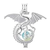 Vie Jeune 10pcs Silver Dragon Pearl Cage Locket Pendants, Essential Oil Diffuser DIY Necklace Bracelet Jewelry Making Craft, Bulk Beads Aromatherapy Diffuser Charms Gifts for Women (Dragon-2)
