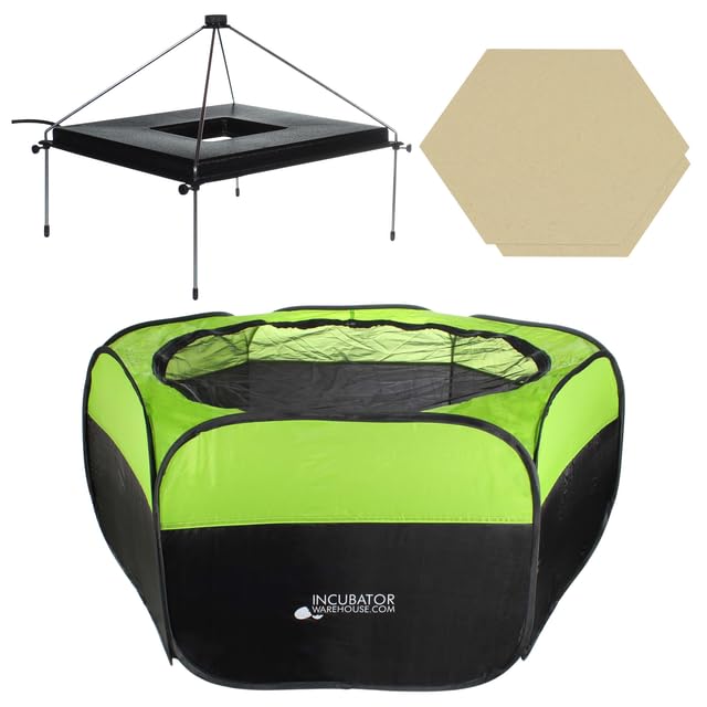 Brooder with Heater Plate