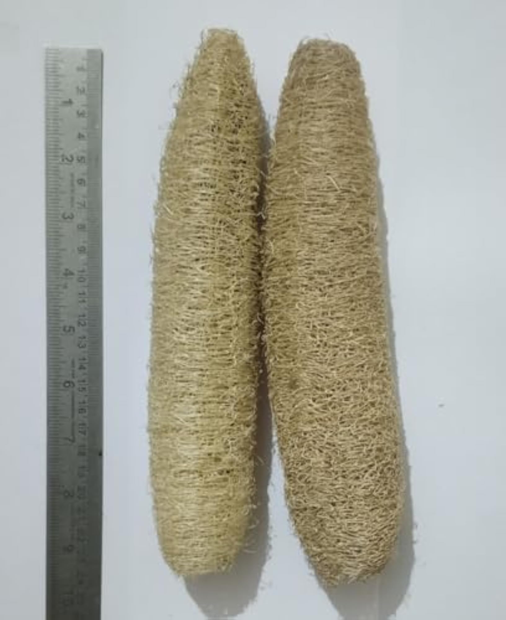 100% Natural Body Scrubber Loofah Pack of 2