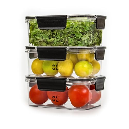 Image of Fridge Storage Container (300 ml / 900 ml / 1600 ml) | BPA Free Plastic Refrigerator Organizer Boxes | Freezer Safe Kitchen Storage Box for Vegetables, Fruits, Snacks