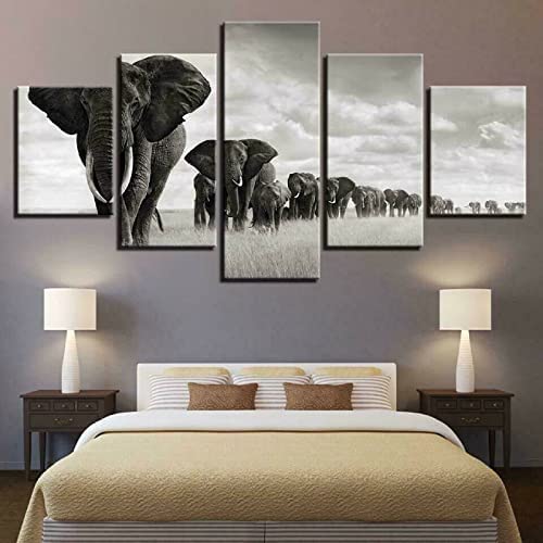 5 Pièces D'Art Mural Sur Toile Tableau Multi Panneau 5 Parties Animal Éléphant (Sans Cadre 100 X 50 Cm) Picture Pour Home Décor Imprimé Moderne...