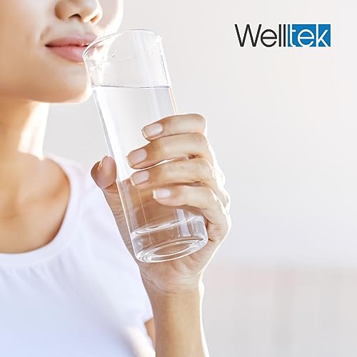 Despachadores De Agua, Kitchen llave dispensador agua Marca WELLTEK (2)