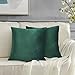GIGIZAZA Velluto Copricuscini 60x60 cm Decorativi Federe Cuscini Quadrate per Cuscino per Divano Camera da Letto Verde 2 Pezzi
