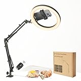 FZYGRAVH 10" LED Ring Light with Overhead Phone Stand, CRI≥95 1200lm Dimmable Lighting, Adjustable Metal Arm with Remote & Phone Holder, for Streaming, Makeup, Zoom Calls, Photography