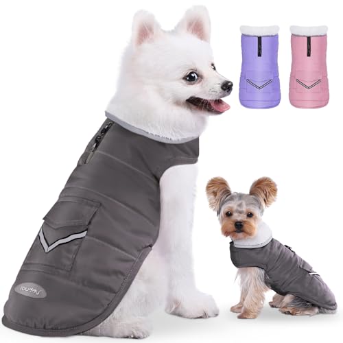iBuddy Dog Winter Jacket for Small Dogs, Easy on Dog Fleece Snow Coat Velcro Waterproof Pet Puffer...