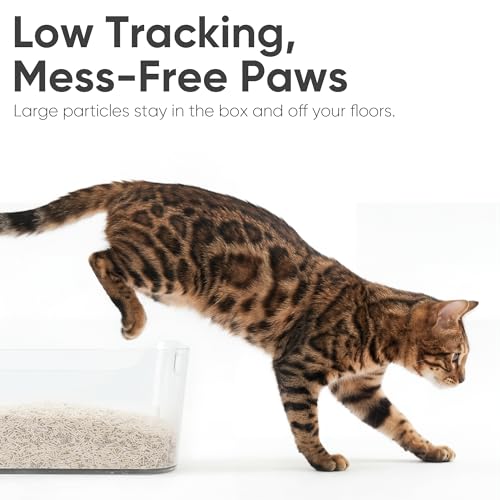Image of FUKUMARU Tofu Cat Litter, Strong Clumping Cat Litter Pellets, Effective Odor Control, Ultra Absorbent, Dust Free, Natural, Flushable, Lightweight, Low Tracking, White Tea, 6lb x 2 Bags