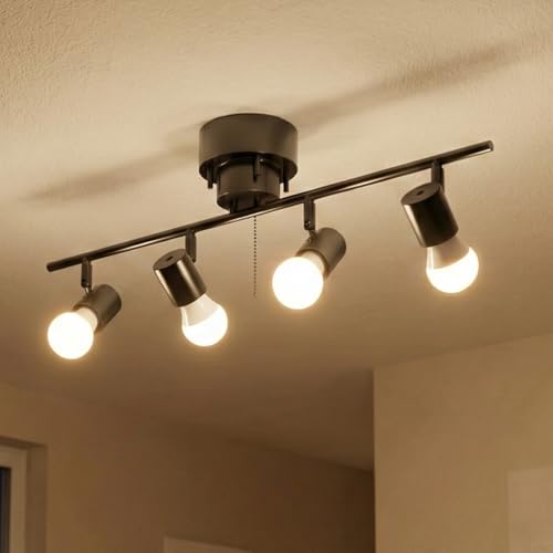 シーリングライト4灯 スポットライト」の人気商品一覧 | 安い商品を