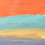 Sensory Flow