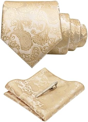 JEMYGINS Mens Solid Color Paisley Necktie and Pocket Square with Tie Clip Sets