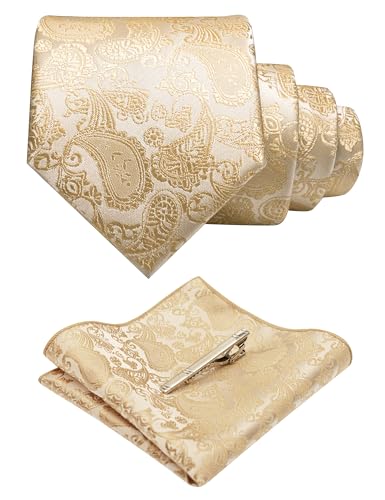 Image of JEMYGINS Mens Solid Color Paisley Necktie and Pocket Square with Tie Clip Sets
