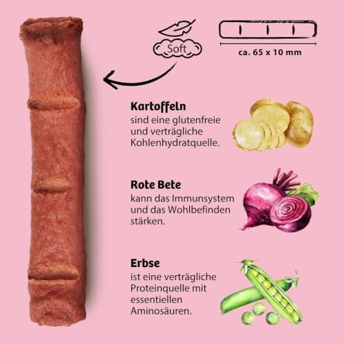 BugBell 60g Knabbersticks Rote Bete – vegane Hundesnacks fettarm