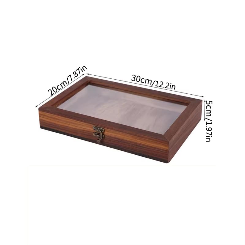 Vitrina de muestras de insectos con tapa de vidrio con bisagras, caja de sombra de madera para mariposas, escarabajos, hojas, colecciones minerales, caja de almacenamiento a prueba de polvo para
