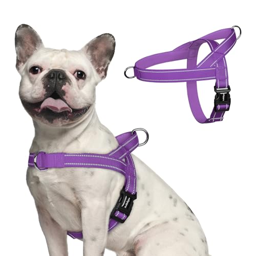 rabbitgoo Dog Harness No Pull, Quick Fit for Large Dogs with Soft Padded Handle, Chest Adjustable Reflective Pet Vest, No Choke Escape Proof for Walking Training, Purple M