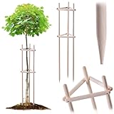 KADAX Baumst&uuml;tze 150 cm aus robustem Holz, Baumpfahl zur sicheren Fixierung junger B&auml;ume & Str&auml;ucher, dreibeinige Pflanzenst&uuml;tze aus Buchenholz f&uuml;r Garten