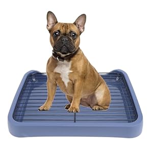 Dog Potty Tray, 18x14in Pet Indoor Dog Training Toilet with Grille, Removable Mesh, Puppy Potty Tray Pee Pad Holder for Large Small Medium Pets