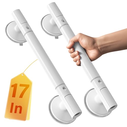 bed bathroom grab bars