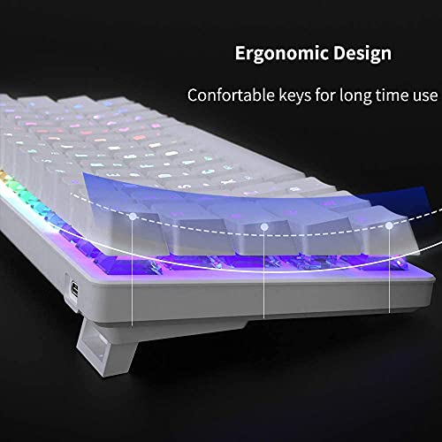 Stoga 60% Gaming Keyboard,Mechanical Keyboard,Small 61-Key Rgb Wired Brown Switch Mini Keyboard,Computer Keyboard For Gaming/Office/Pc/Mac-White #TOP4