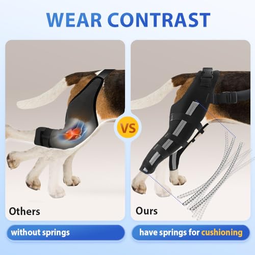Image of Double Dog Knee Brace for Torn Acl Hind Leg, Double Dog Leg Sleeve, Acl Brace for Dogs Rear Leg for Support, Built-In Hard Metal Spring Support, Outer Night Reflective Strip, Adjustable Strap (Medium)