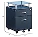 TECHNI MOBILI Seguro Mobile 2 Drawer File Pedestal in Graphite