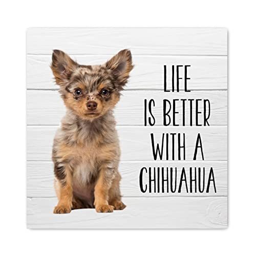 Panneau Chihuahua en bois célébrant l'amour des animaux au quotidien