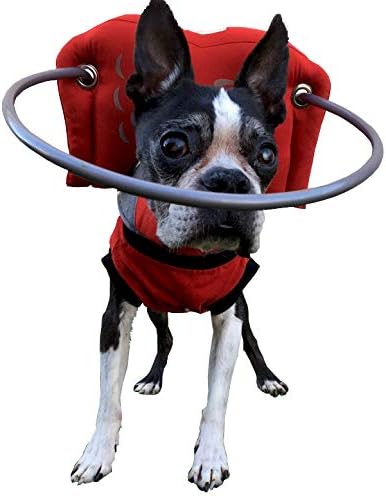 Muffin’s Halo® – The Original Blind Dog Halo | Harness & Bumper Collar Accessory for Safe Navigation & Confidence – Red, Size 6