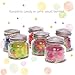 Mayca Moon KONPEITO Candy Small Glass Bottle Japanese Tiny Sugar Candy 3 types set (Rainbow, Nanohana, Shobu)