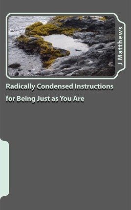 Radically Condensed Instructions for Being Just as You Are (Paperback) - Common